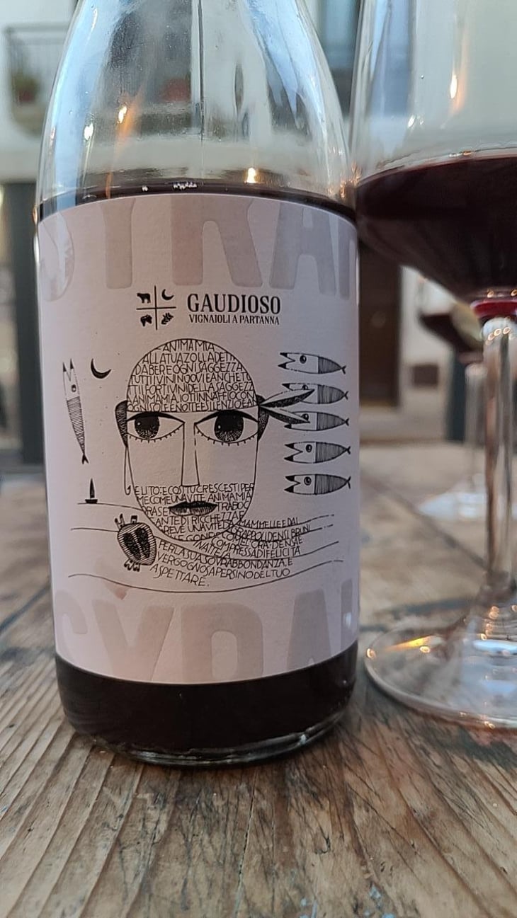 Syrah - Azienda Agricola Gaudioso - Antonio & Rosa Gaudioso 
