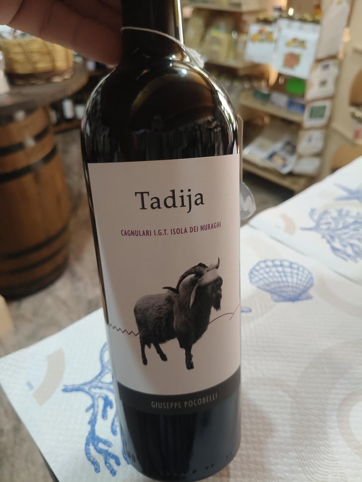 Tadija - Giuseppe Pocobelli - Giuseppe pocobelli -2024