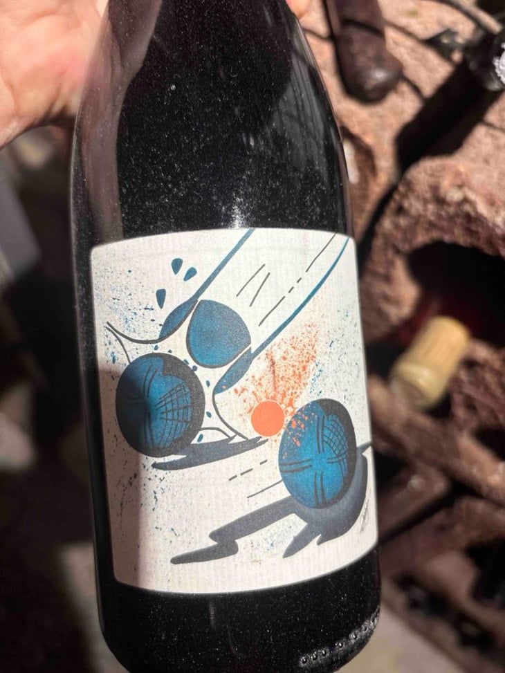T'as Poussé Le Bouchon Trop Loin ! - Domaine du Petit Oratoire - Lori Haon -2020