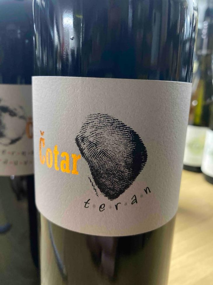 Teran - Čotar - Branko & Vasja Čotar 