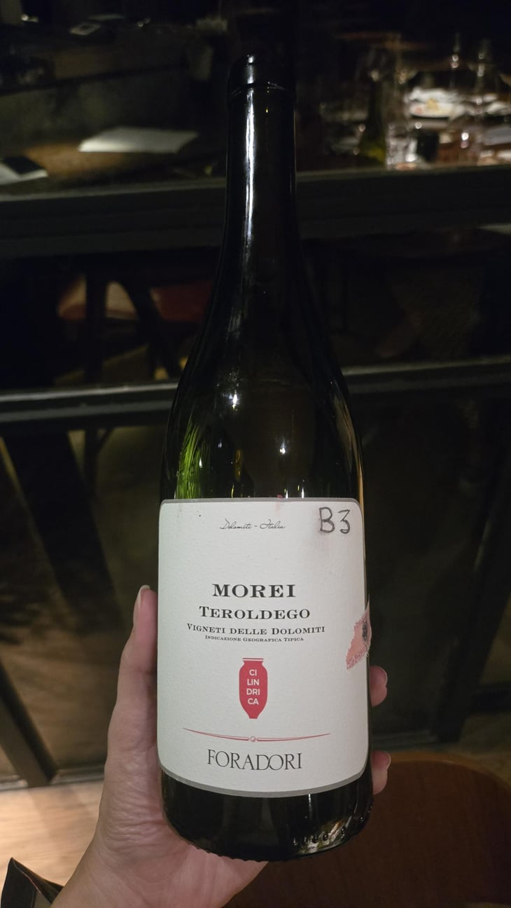 Teroldego - Azienda Agricola Foradori - Elisabetta Foradori -2018
