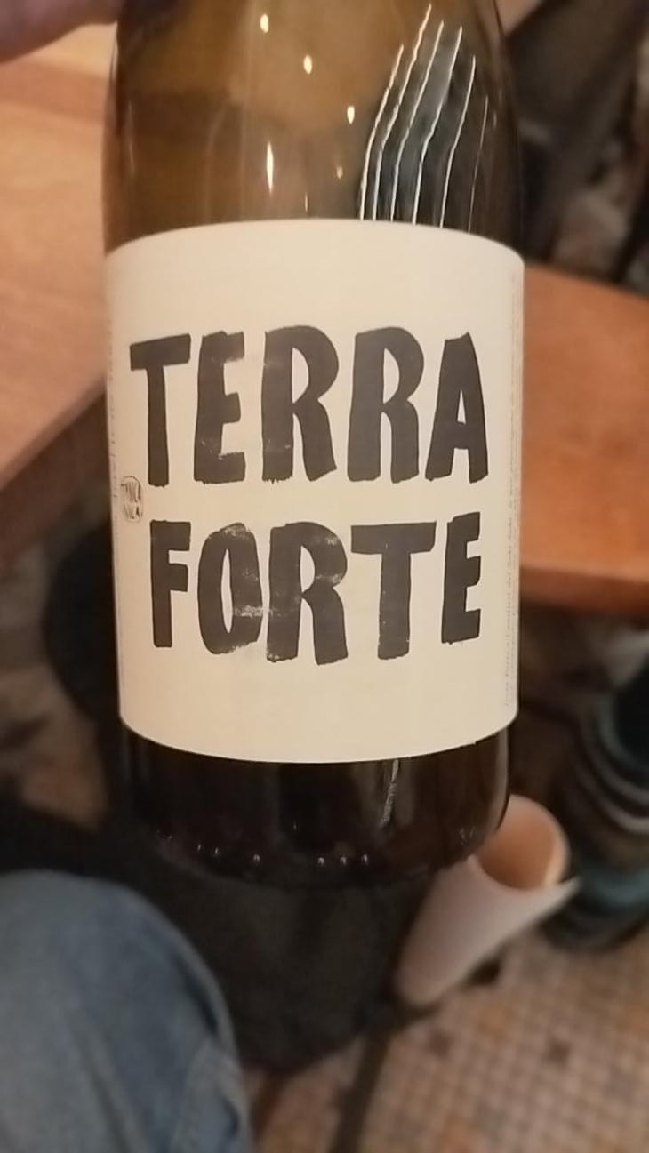 Terra Forte - Kaffefi Società Semplice Agricola - Tanca Nica - Nicoletta & Francesco Ferreri 