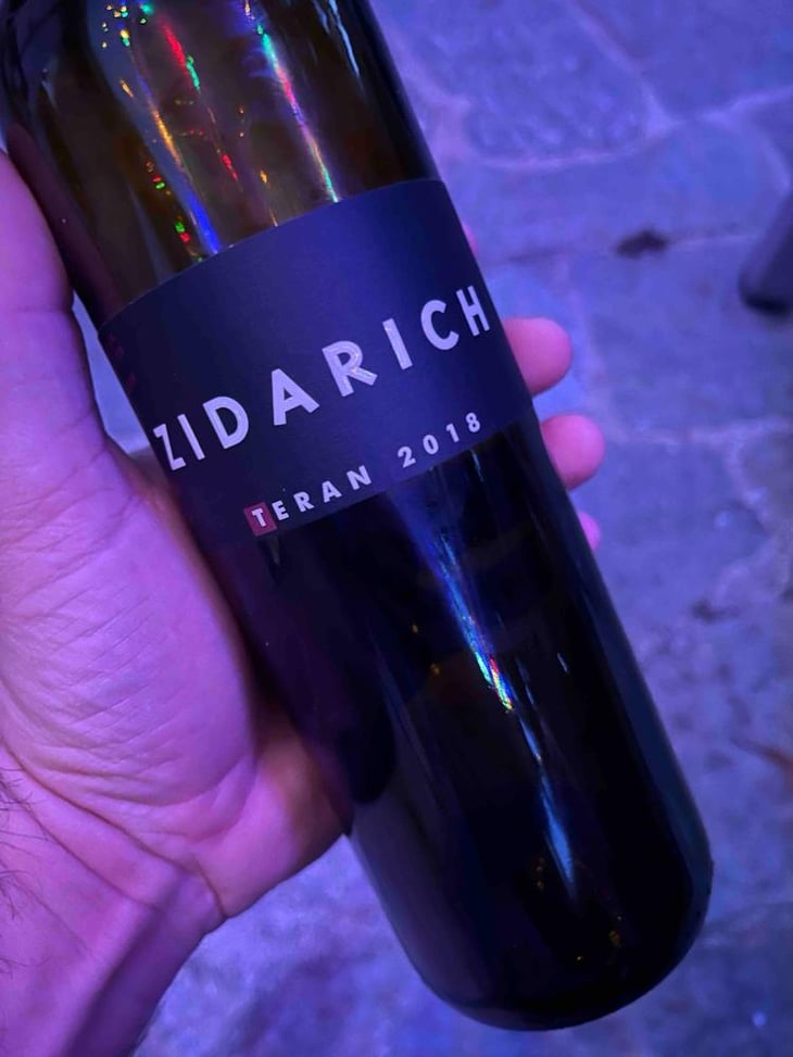 Terrano - Zidarich - Benjamin Zidarich -2022