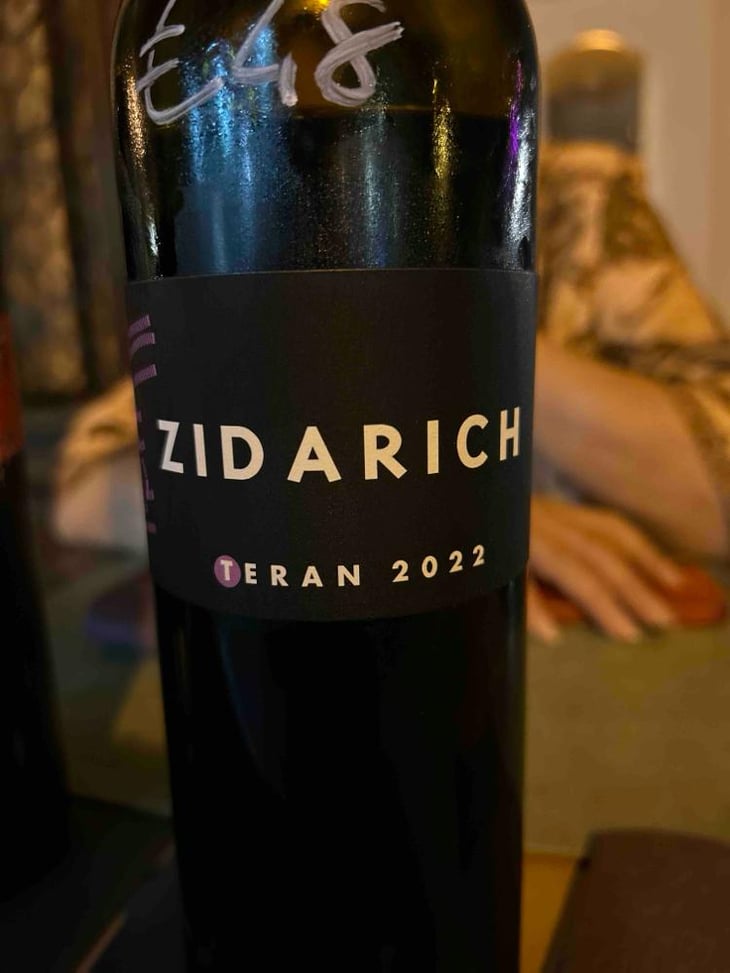 Terrano - Zidarich - Benjamin Zidarich -2022