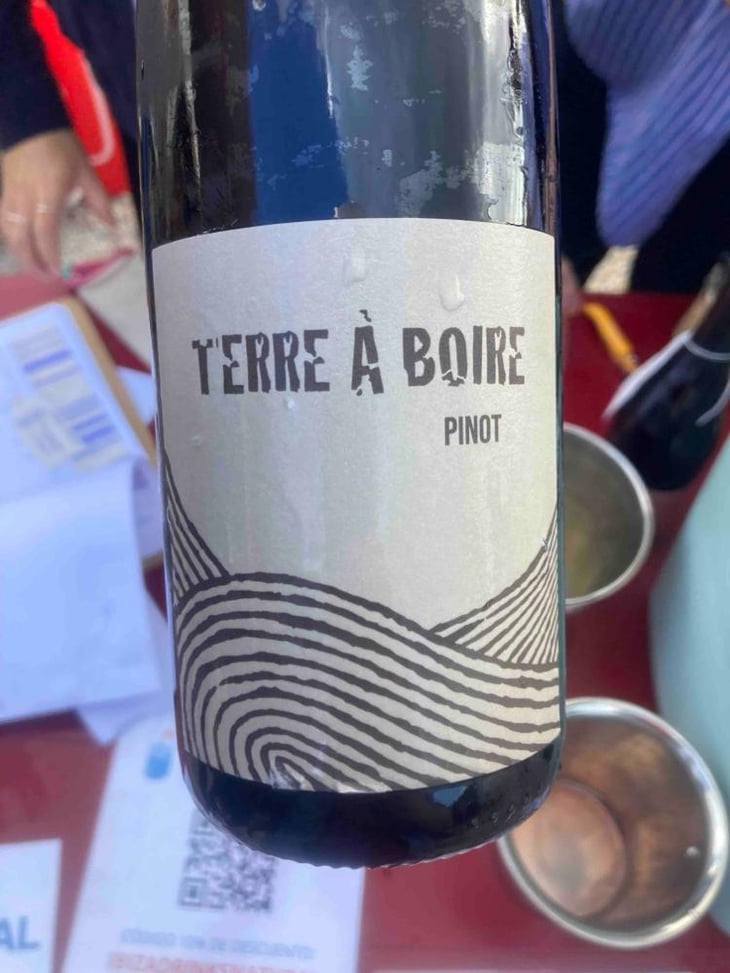 Terre À Boire - Léo Dirringer - Léo Dirringer 