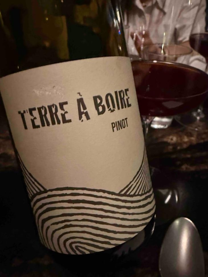 Terre À Boire - Léo Dirringer - Léo Dirringer 