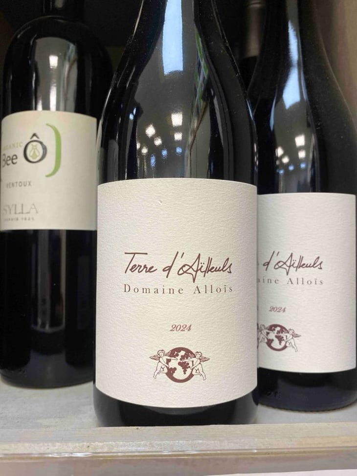 Terre D'ailleuls - Domaine Alloïs - François Busi -2021