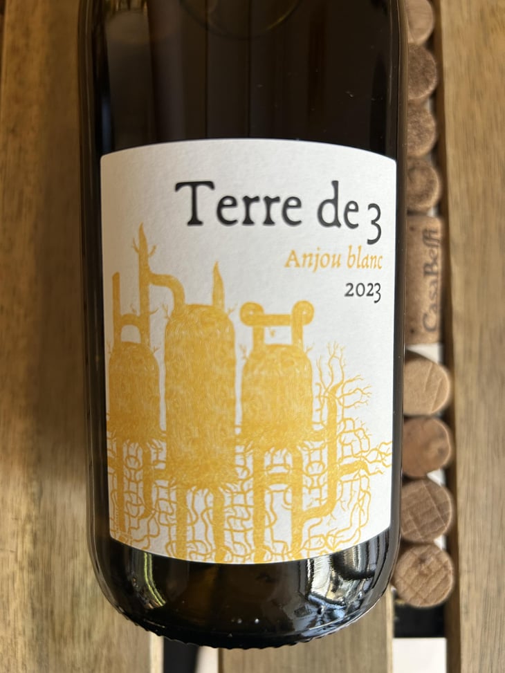 Terre De 3 - Terra Vita Vinum - Bénédicte & Luc Briand -2018