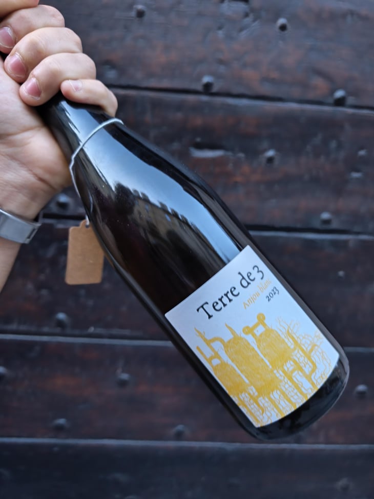 Terre De 3 - Terra Vita Vinum - Bénédicte & Luc Briand -2018