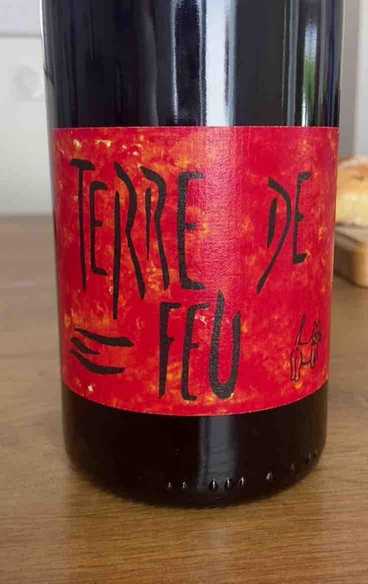 Terre de Feu Rouge - Les Foulards Rouges - Jean-Francois Nicq -2024