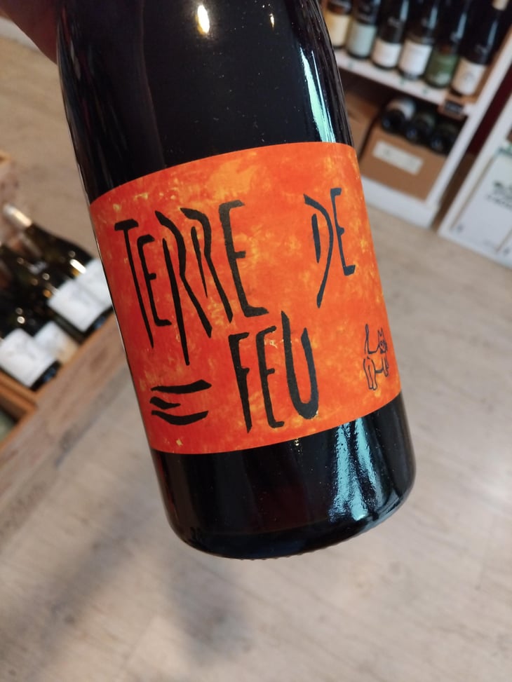 Terre de Feu Rouge - Les Foulards Rouges - Jean-Francois Nicq -2024