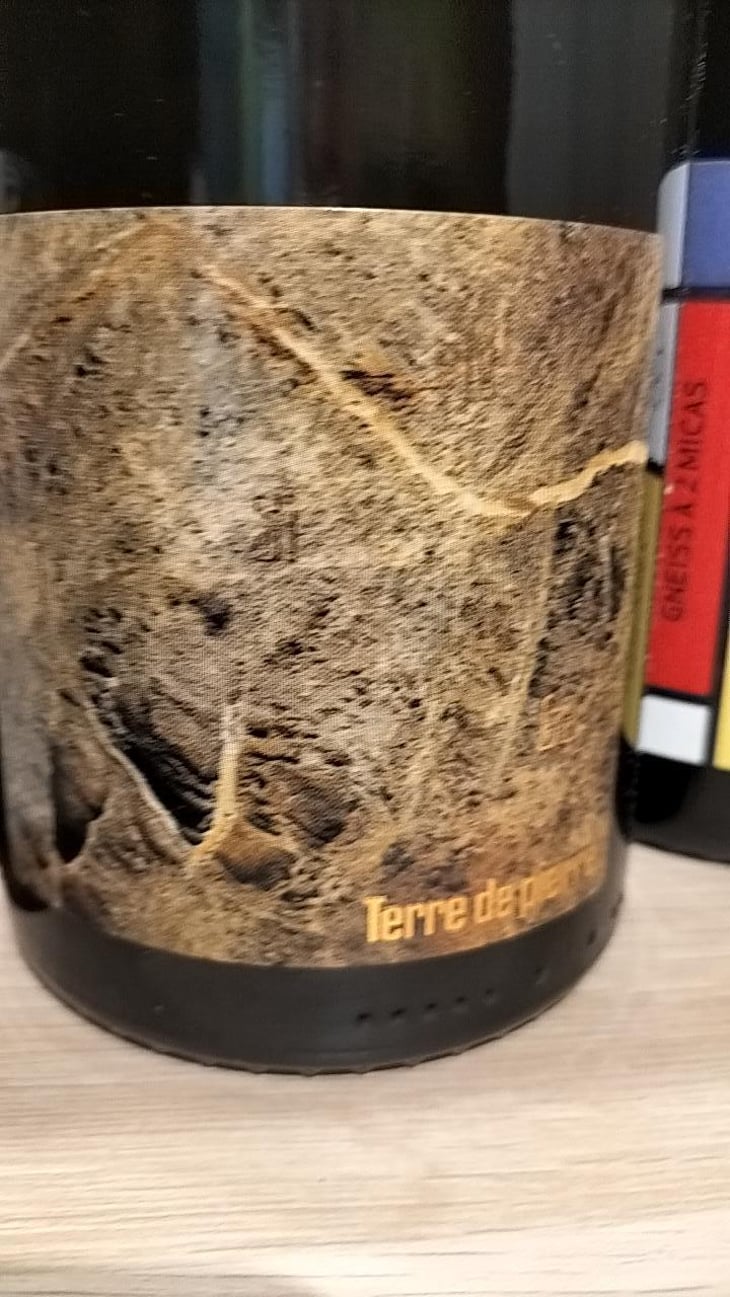 Terre De pierre - Domaine Pierre Luneau-Papin - Pierre-Marie & Marie Luneau 