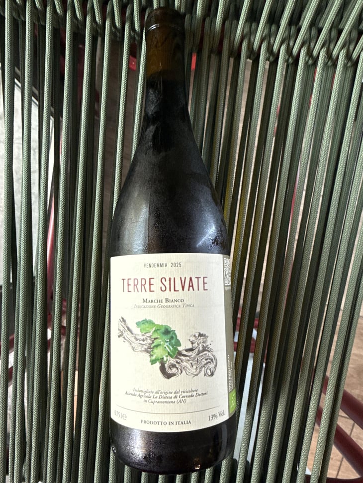 Terre Silvate - La Distesa - Corrado Dottori 