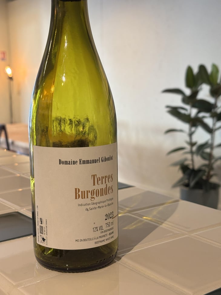 Terres Burgondes - Domaine Emmanuel Giboulot - Emmanuel Giboulot 