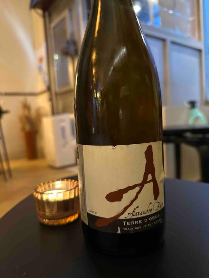 Terres d'Obus - Domaine Alexandre Bain - Alexandre Bain 