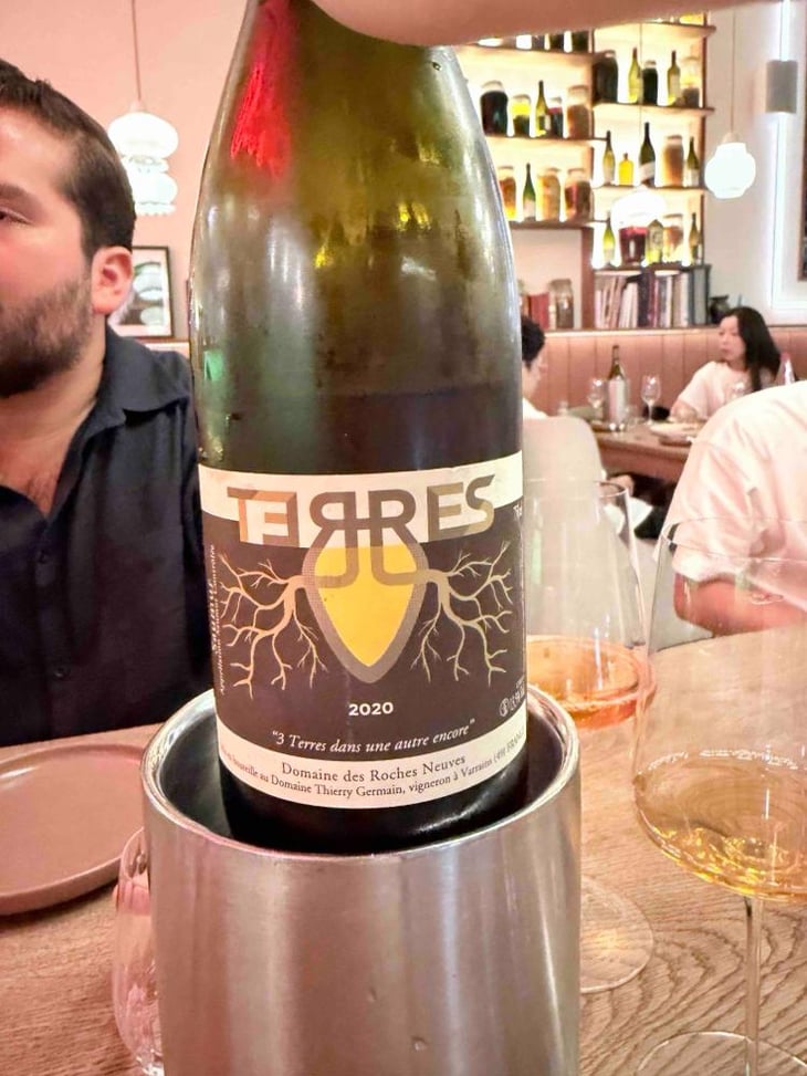 Terres - Domaine des Roches Neuves - Thierry et Louis Germain 