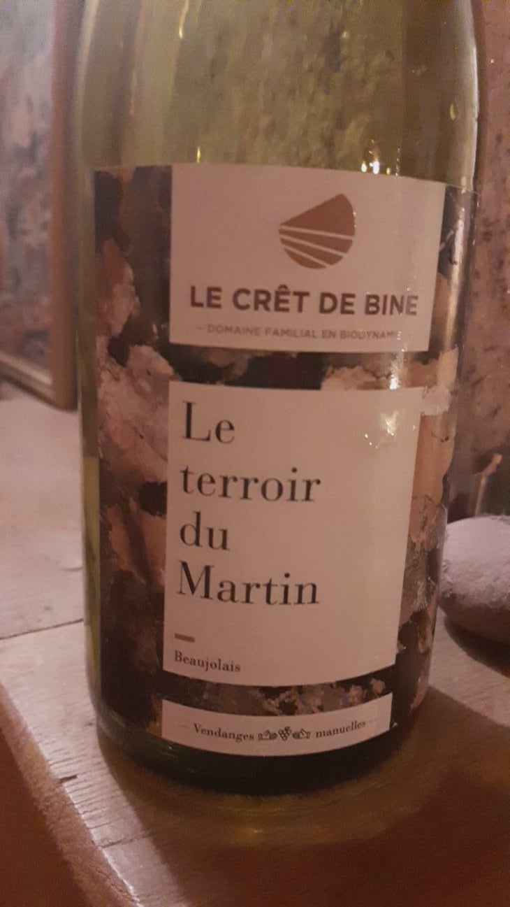 Terroir Du Martin - Domaine Du Crêt De Bine - Geoffroy Subrin & Florence Subrin Dodille 