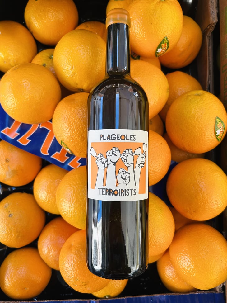 Terroirists Orange - Domaine Plageoles - Bernard, Florent & Romain Plageoles 