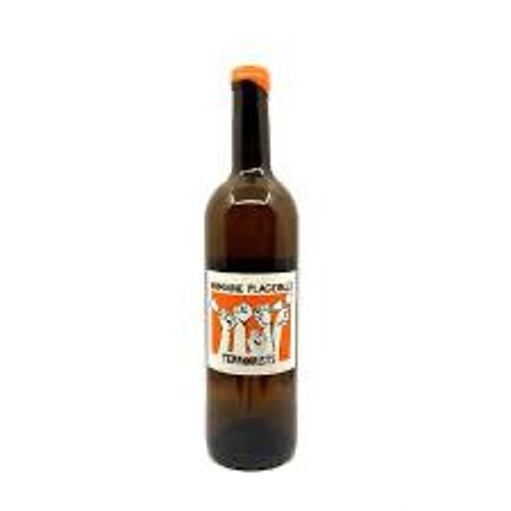 Terroirists Orange - Domaine Plageoles - Bernard, Florent & Romain Plageoles 
