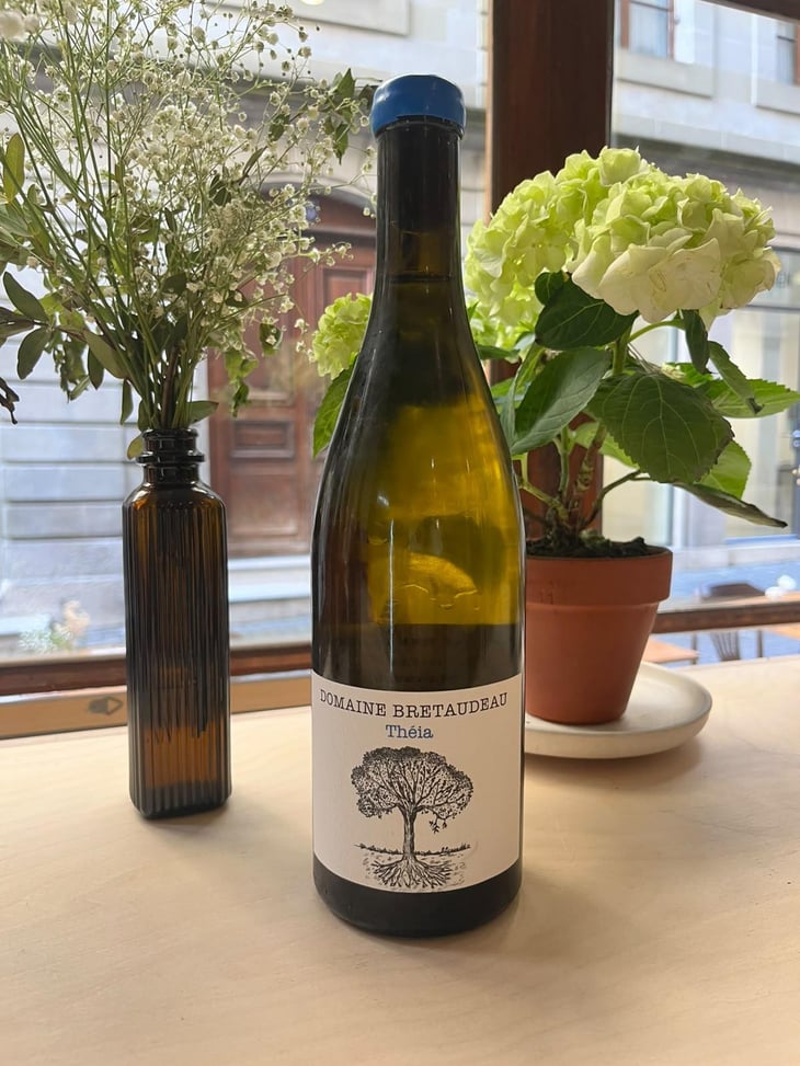 Théia - Domaine de Bellevue - Jérôme Bretaudeau -2023