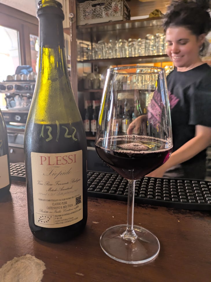 Tiepido - Plessi - Claudio Plessi -2017
