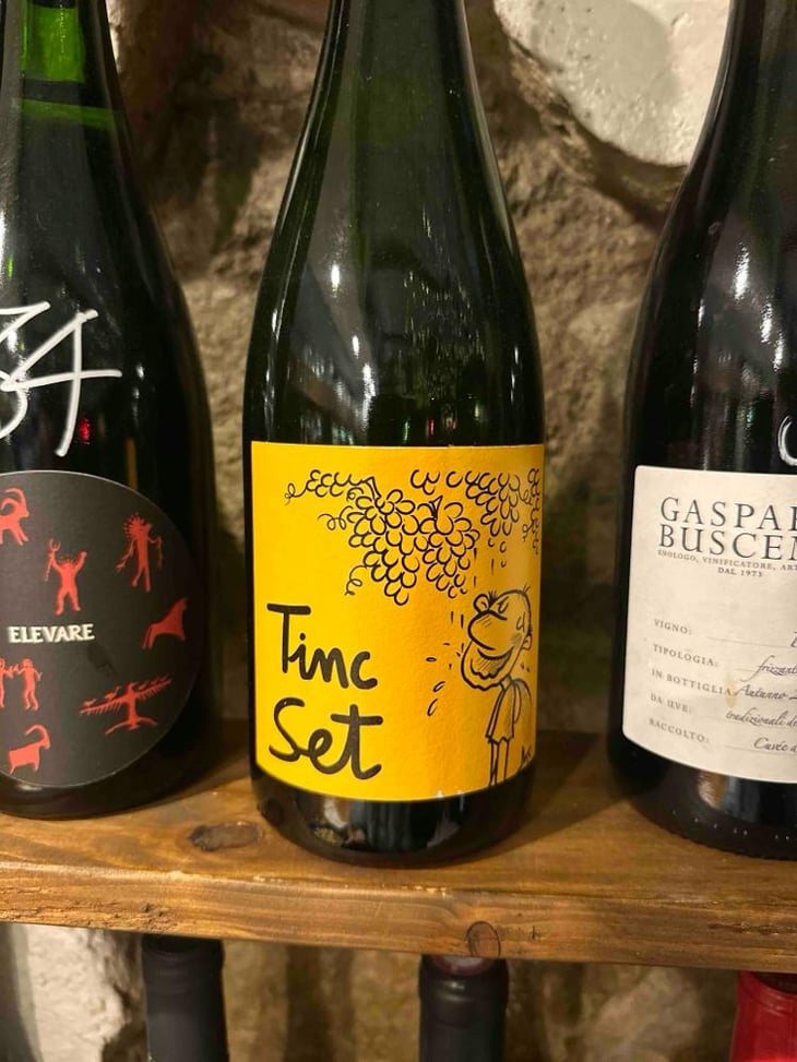 Tinc Set - Ramon Jané Viticultor - Ramón Jané 