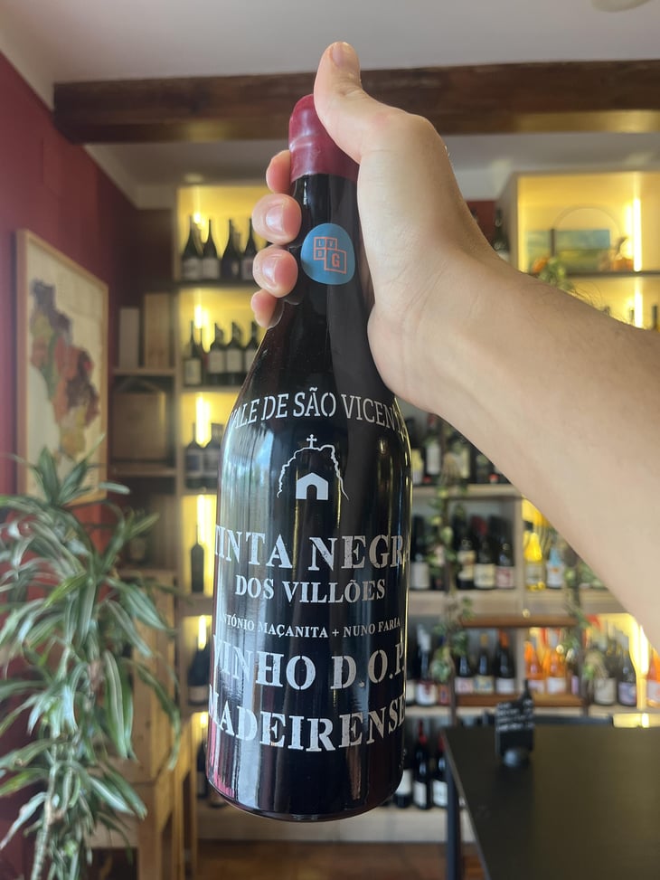 Tinta negra dos villoes - António Maçanita - António Maçanita 