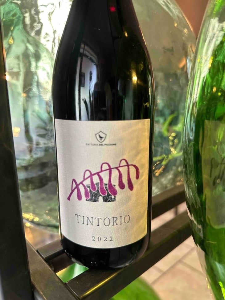 Tintorio - Fattoria del Piccione - Stefano Pasini 