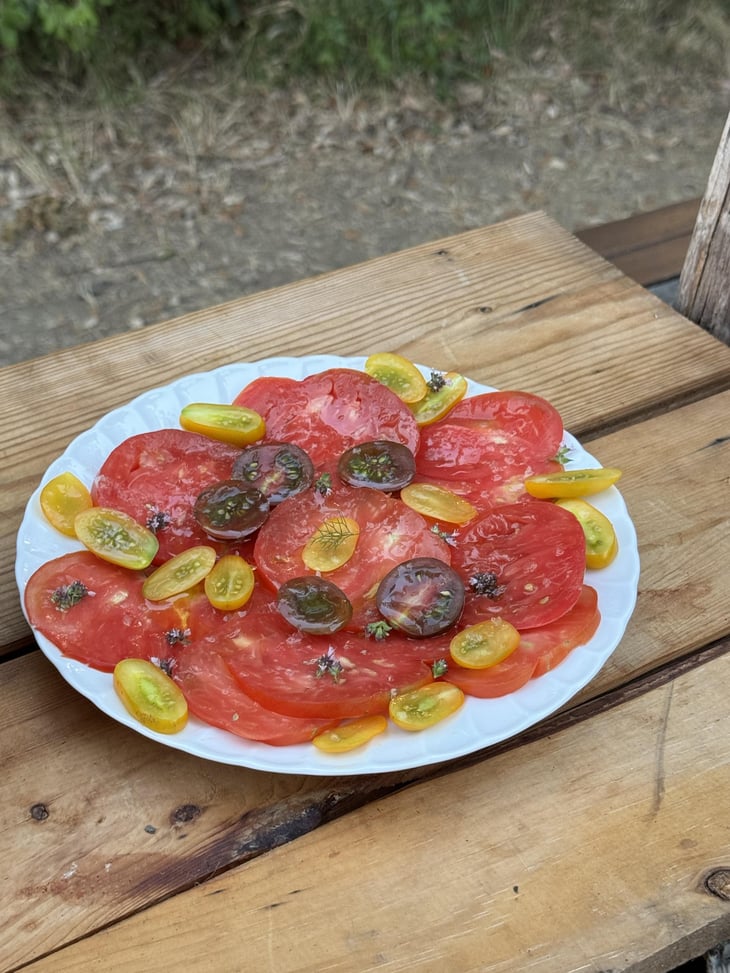 Tomato Salad - Terrafranta - 1371501
