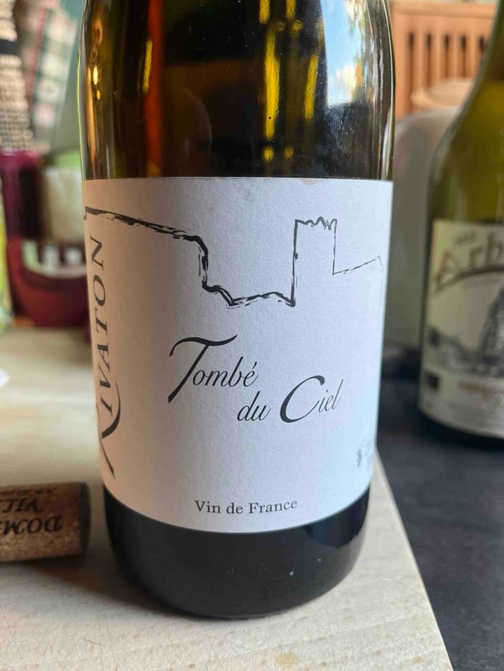Tombé du ciel - Domaine Rivaton - Frédéric Rivaton 