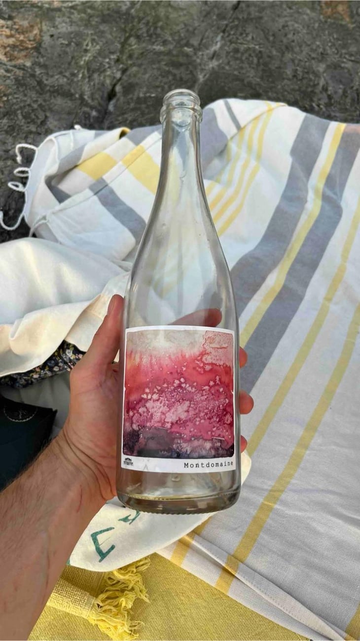 Touraine Rosé - Chateau de Montdomaine - Chateau de Montdomaine 