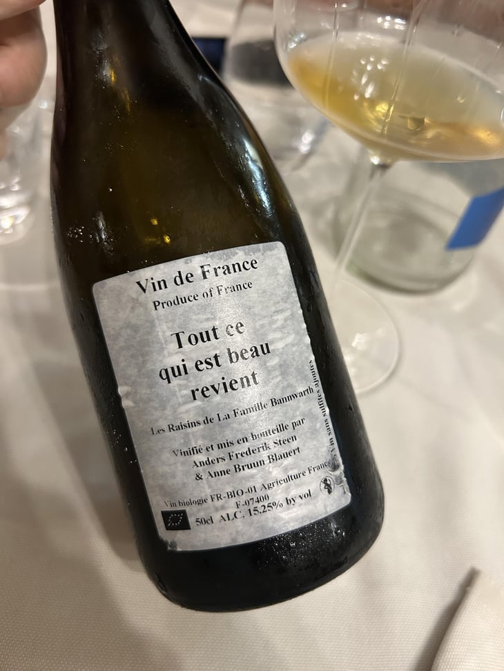 Tout ce qui est beau revient - Anders Frederik Steen & Anne Bruun Blauert - Anders Frederik Steen & Anne Bruun Blauert -2018