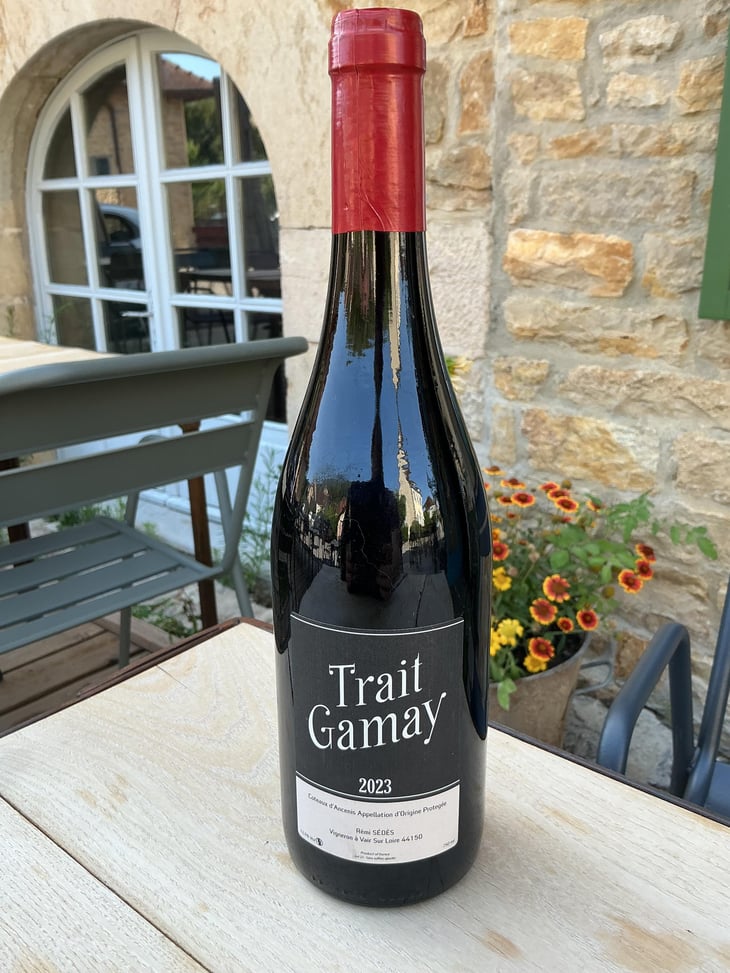Trait Gamay - Rémi Sédès - Rémi Sédès 