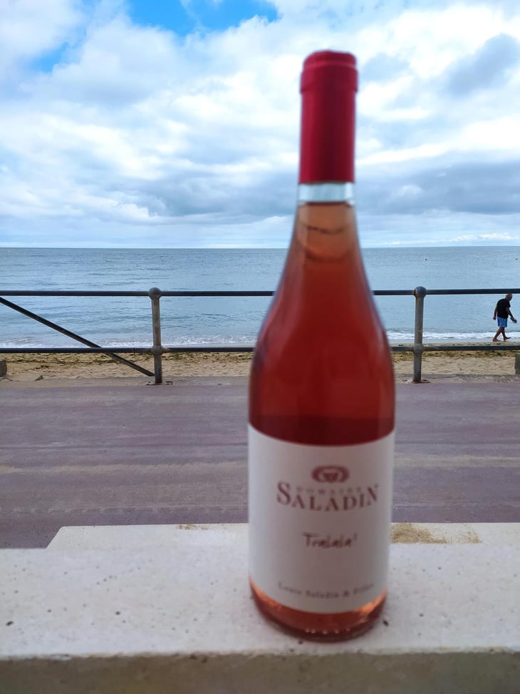 Tralala - Domaine Saladin - Elisabeth & Marie-Laurence Saladin 