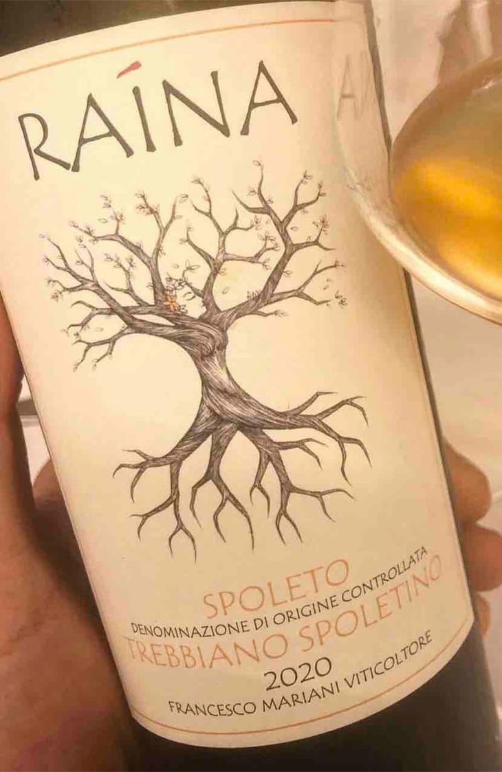 Trebbiano Spoletino - Raína - Francesco Mariani 