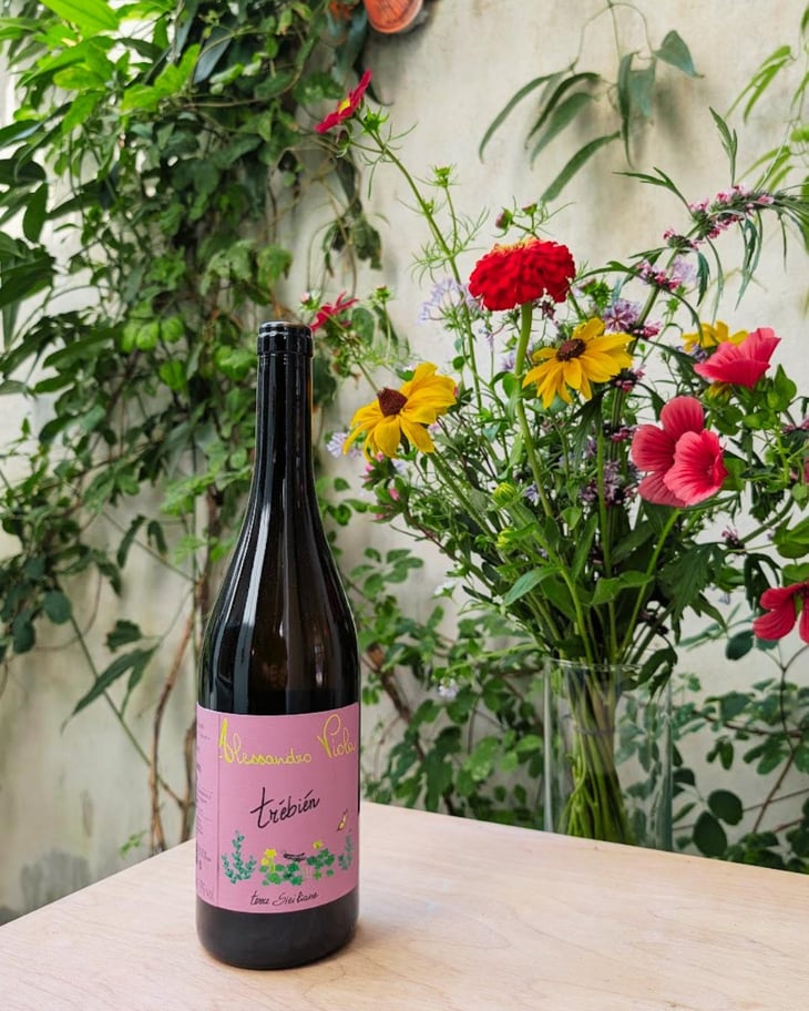 Trébién - Azienda Agricola Alessandro Viola - Alessandro Viola -2025
