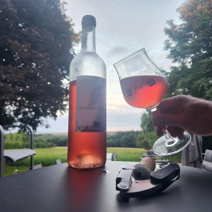 Tremblement bien - Château Le Geai - Henri Duporge -2023
