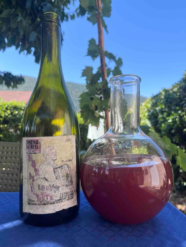 Trousseau - Lucy Margaux Vineyards - Anton Van Klopper 