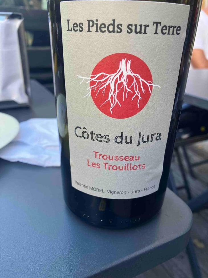Trousseau Les Trouillots - Les Pieds Sur Terre - Valentin Morel 