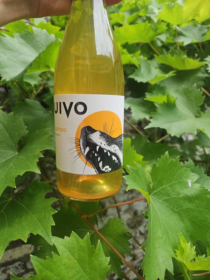 Uivo Curtido - Folias de Baco - Tiago Sampaio 