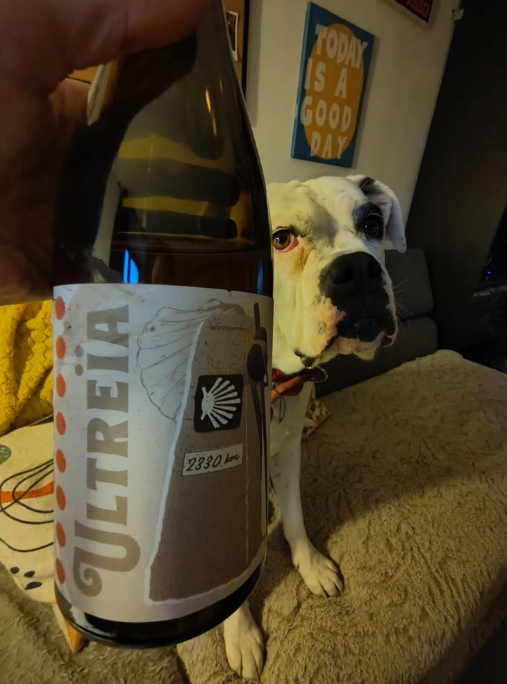 Ultreïa - Larcelet Vincent - Domaine du Petit Bouchon - Vincent Larcelet -2023