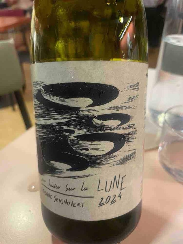 Un Hiver sur La Lune - Domaine Etienne Seignovert - Etienne Seignovert -2022