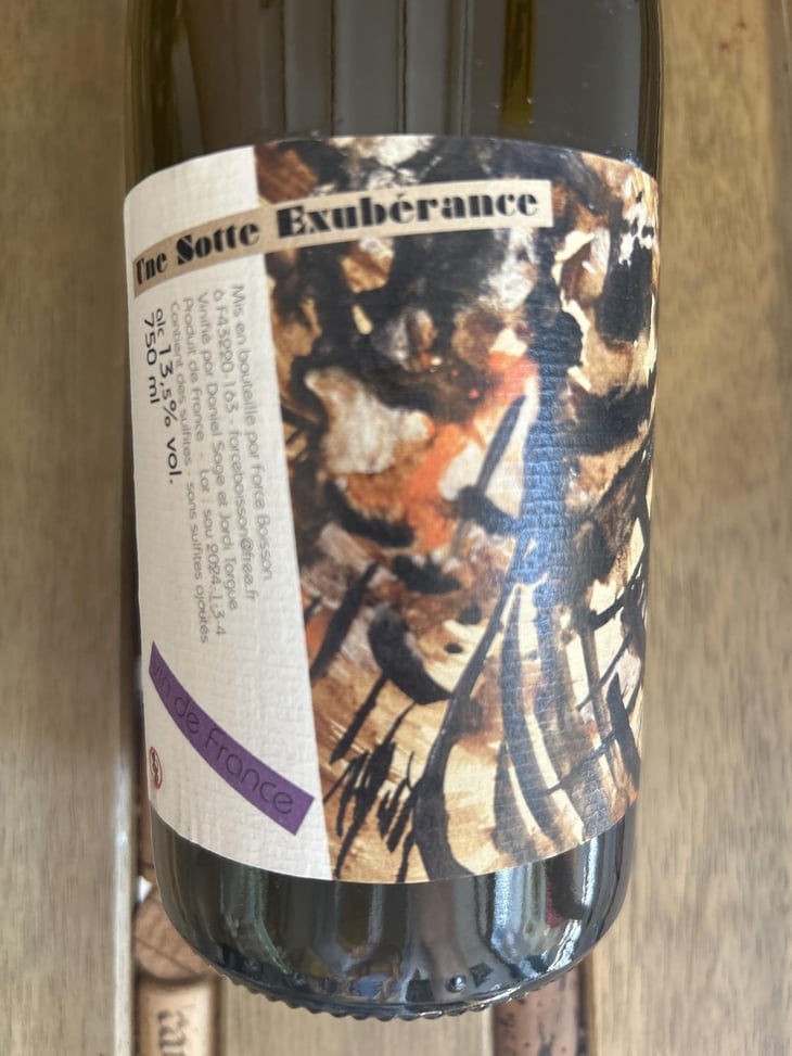 Une sotte exubérance (rouge) - Force Boisson - daniel-sage-jordi-torgue 