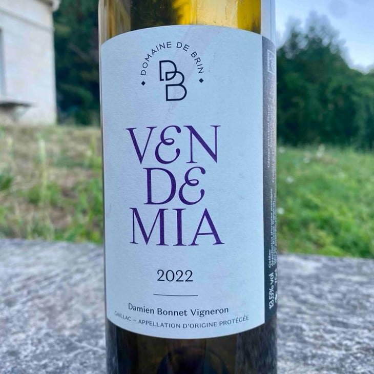 Vendemia - Domaine de Brin - Damien Bonnet 