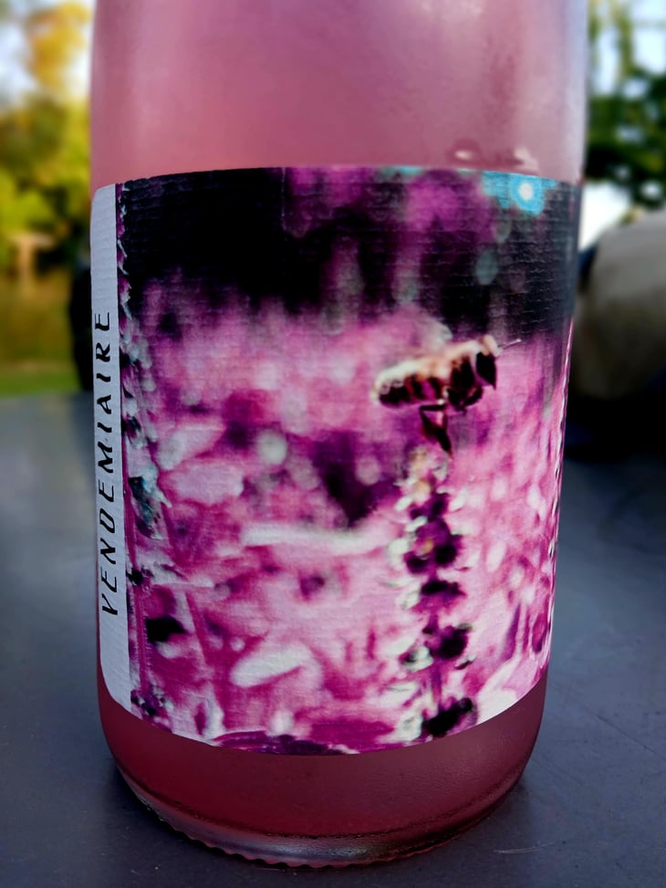 Vendemiaire - 11h11 Fermentations - 11h11 Fermentations 