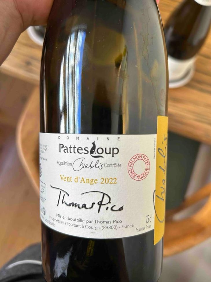 Vent d'Anges - Domaine Pattes Loup - Thomas Pico 