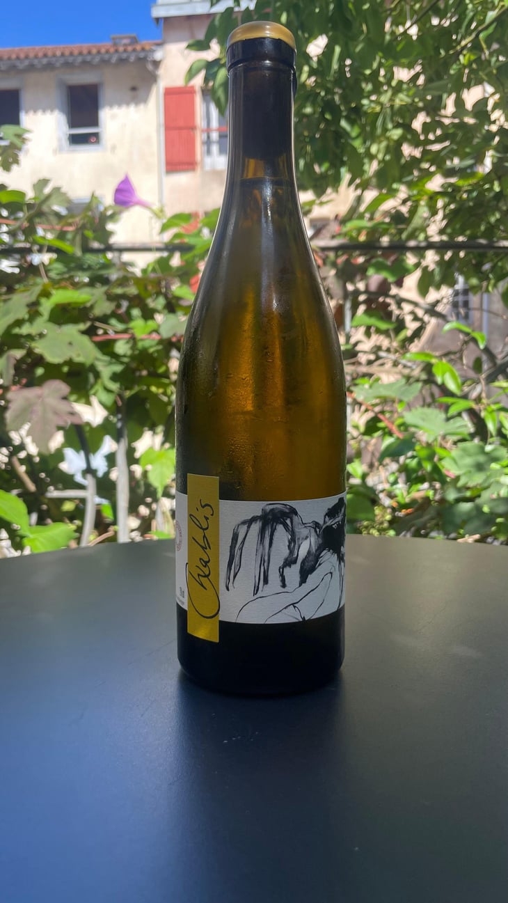 Vent d'Anges - Domaine Pattes Loup - Thomas Pico 