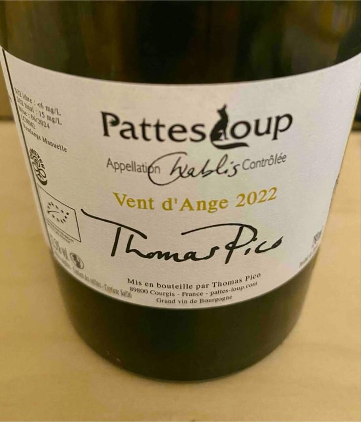 Vent d'Anges - Domaine Pattes Loup - Thomas Pico 