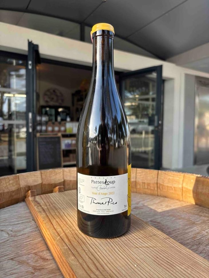 Vent d'Anges - Domaine Pattes Loup - Thomas Pico 