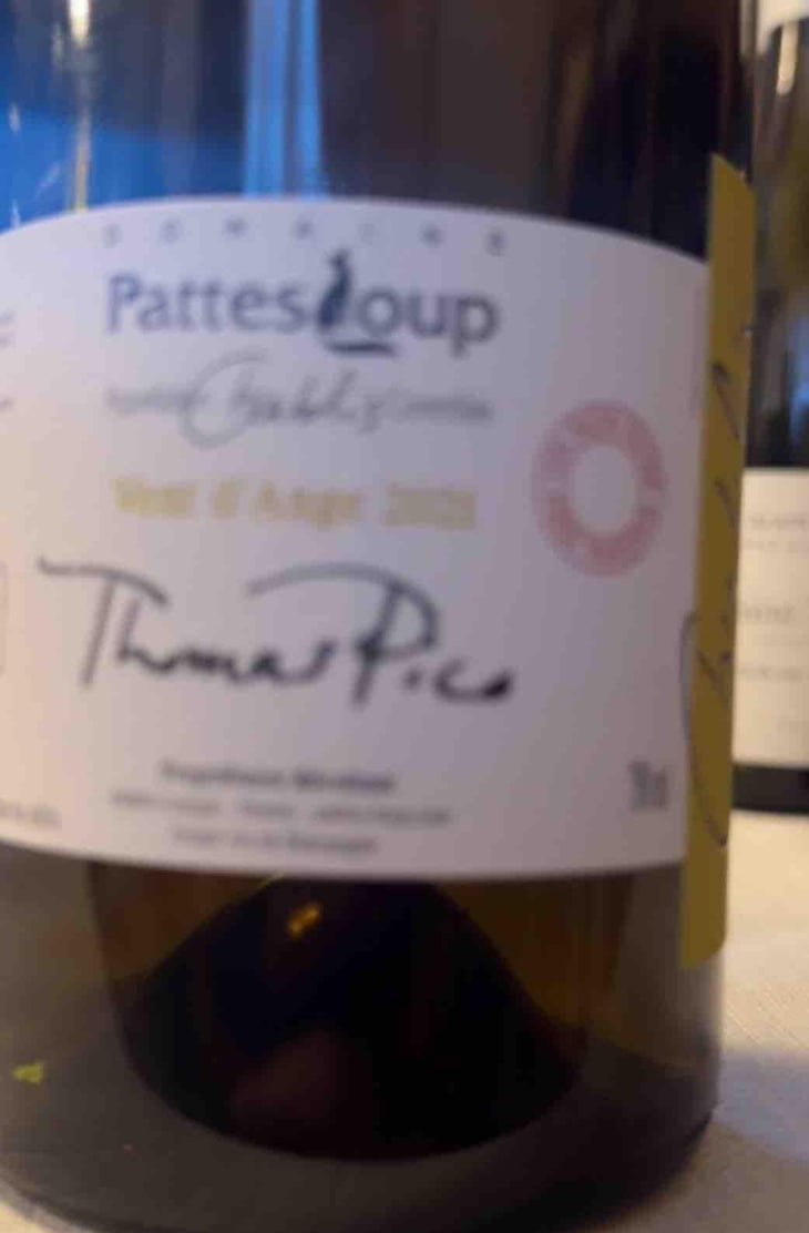 Vent d'Anges - Domaine Pattes Loup - Thomas Pico 